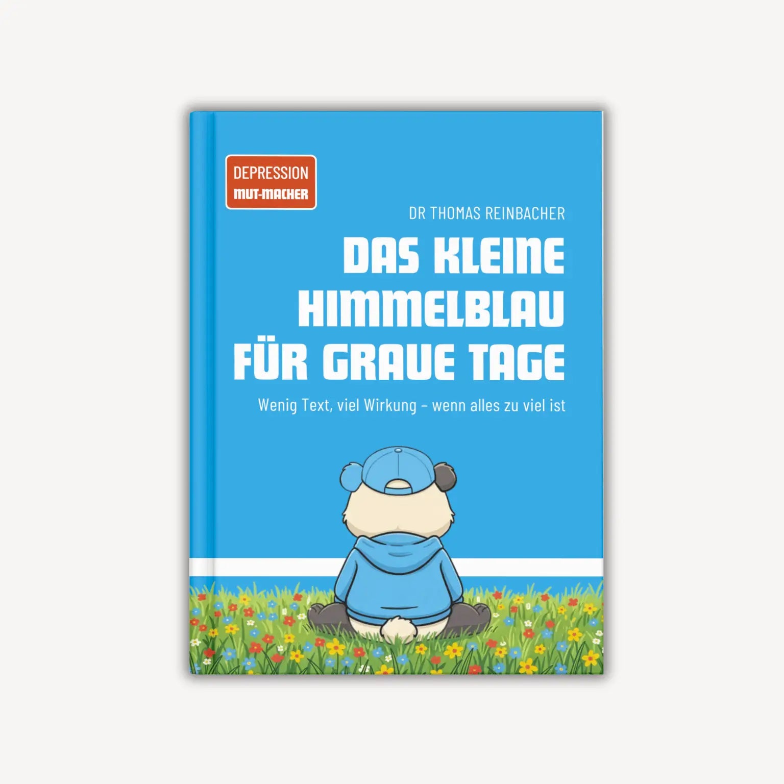 Das kleine Himmelblau für graue Tage (Taschenbuch)