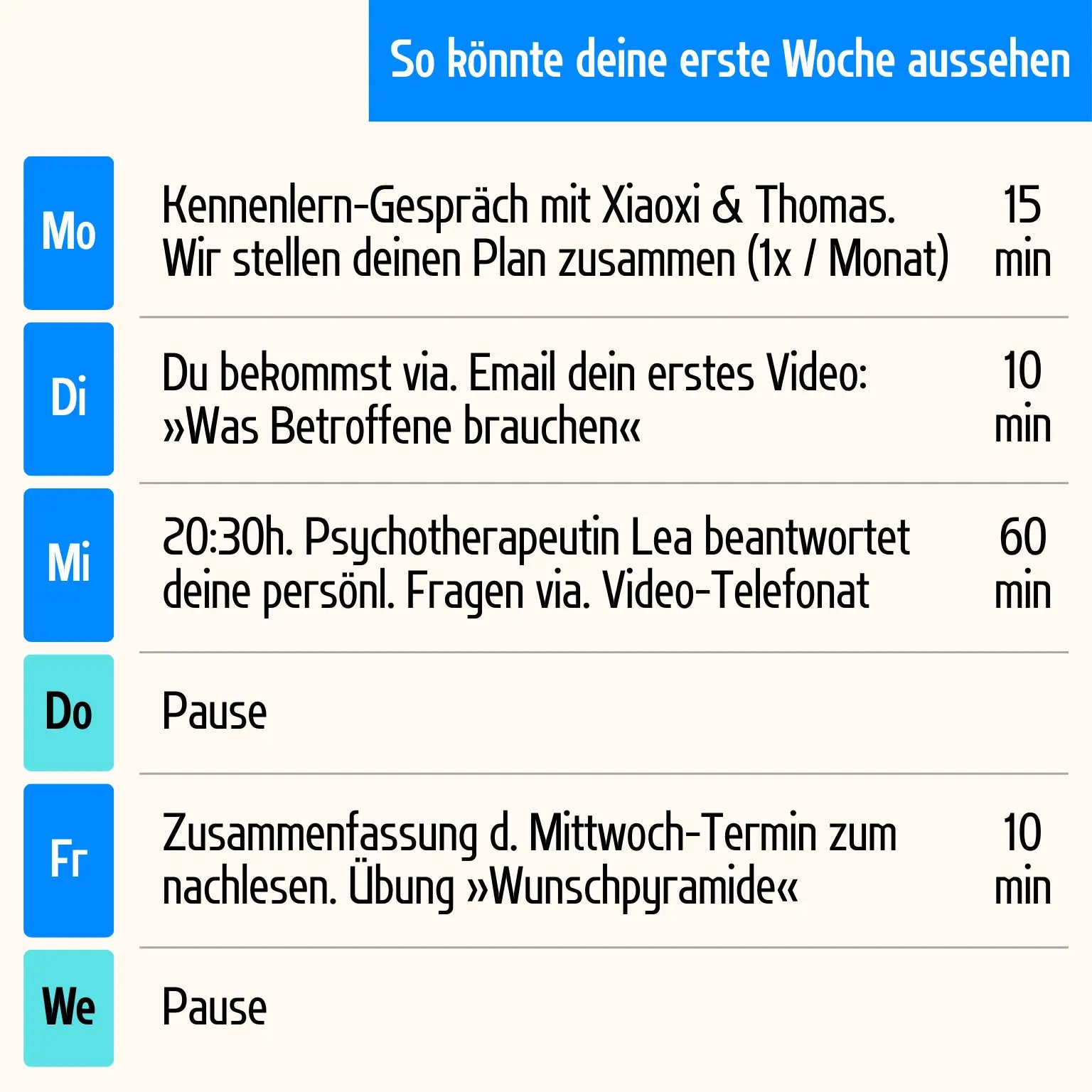 Co-Pilot. Hilfe für Angehörige von Menschen mit Depression (Online Kurs + Persönliche Begleitung)